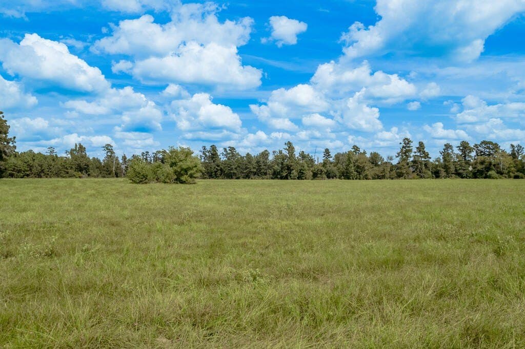 30 acres in Texas County - photo 5