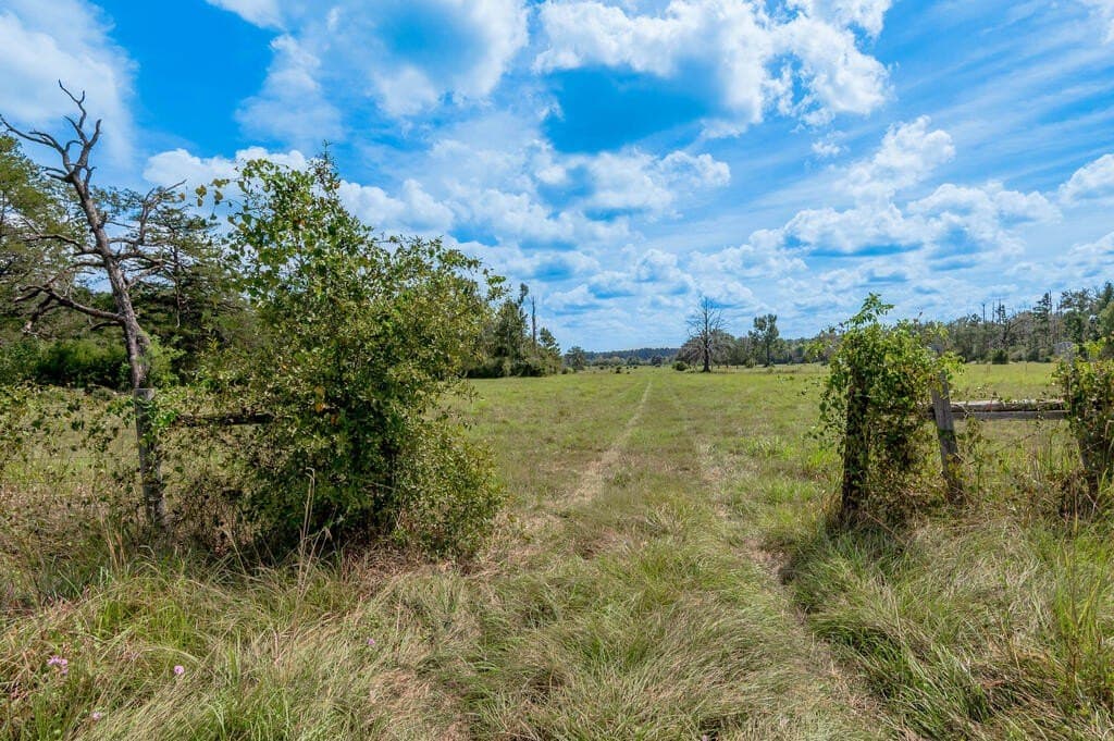 30 acres in Texas County - photo 31