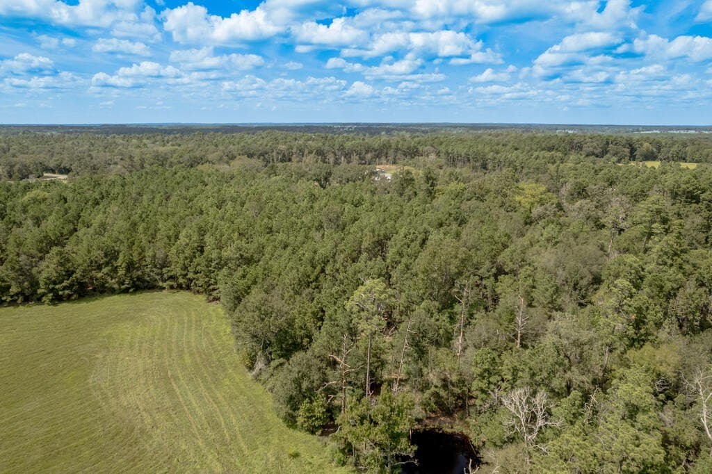 30 acres in Texas County - photo 27