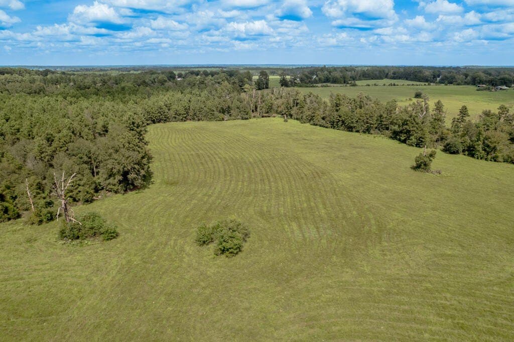 30 acres in Texas County - photo 13