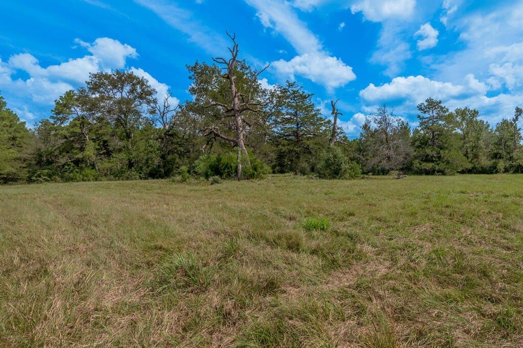 30 acres in Texas County - photo 29