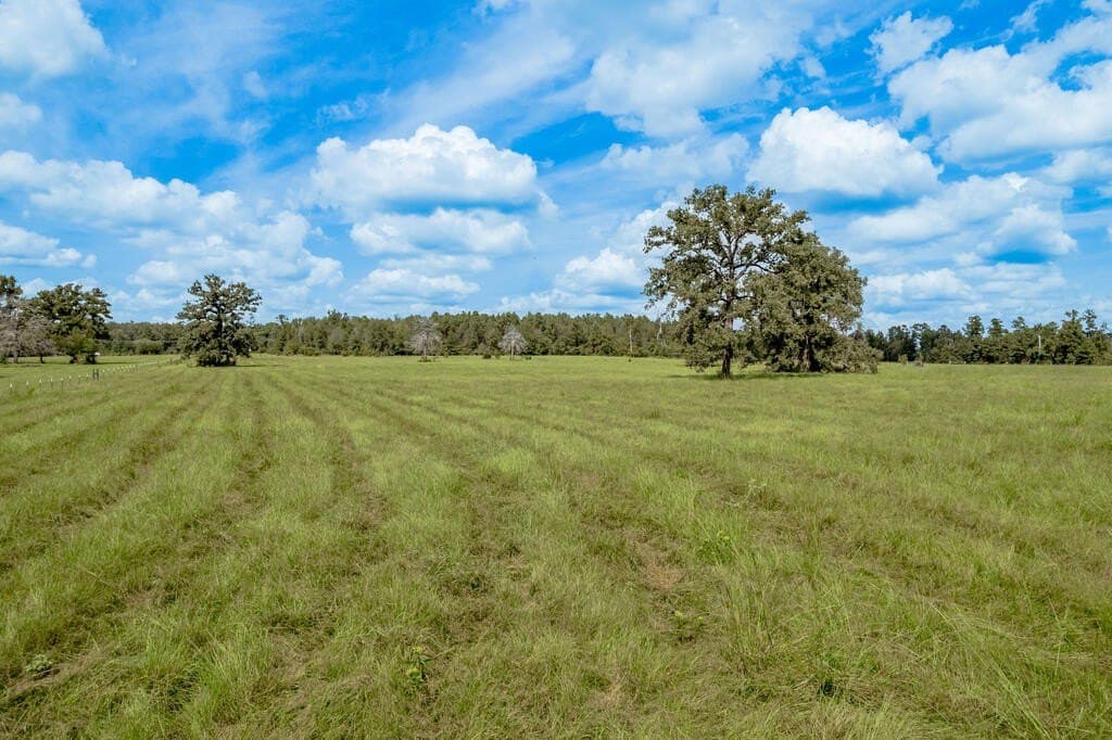 30 acres in Texas County - photo 12
