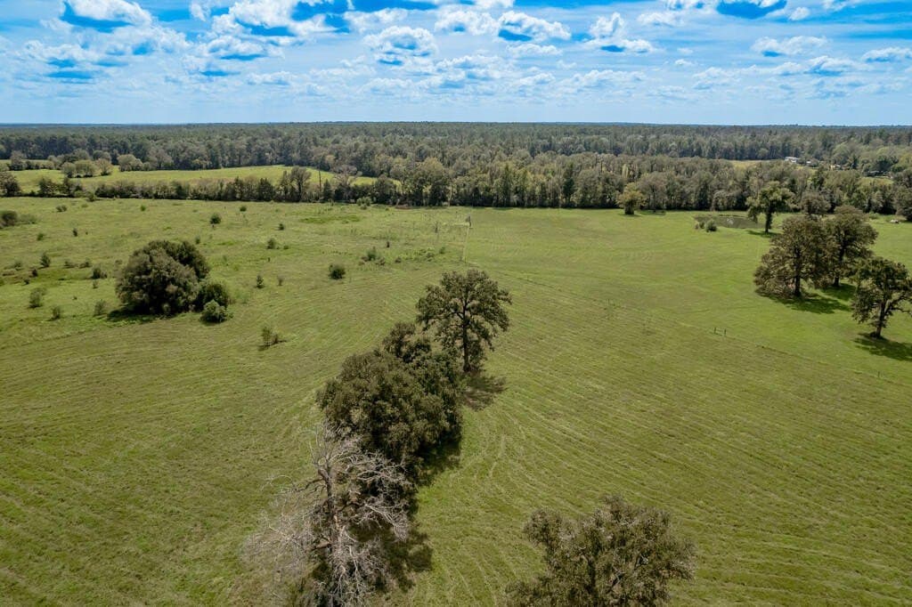 30 acres in Texas County - photo 15