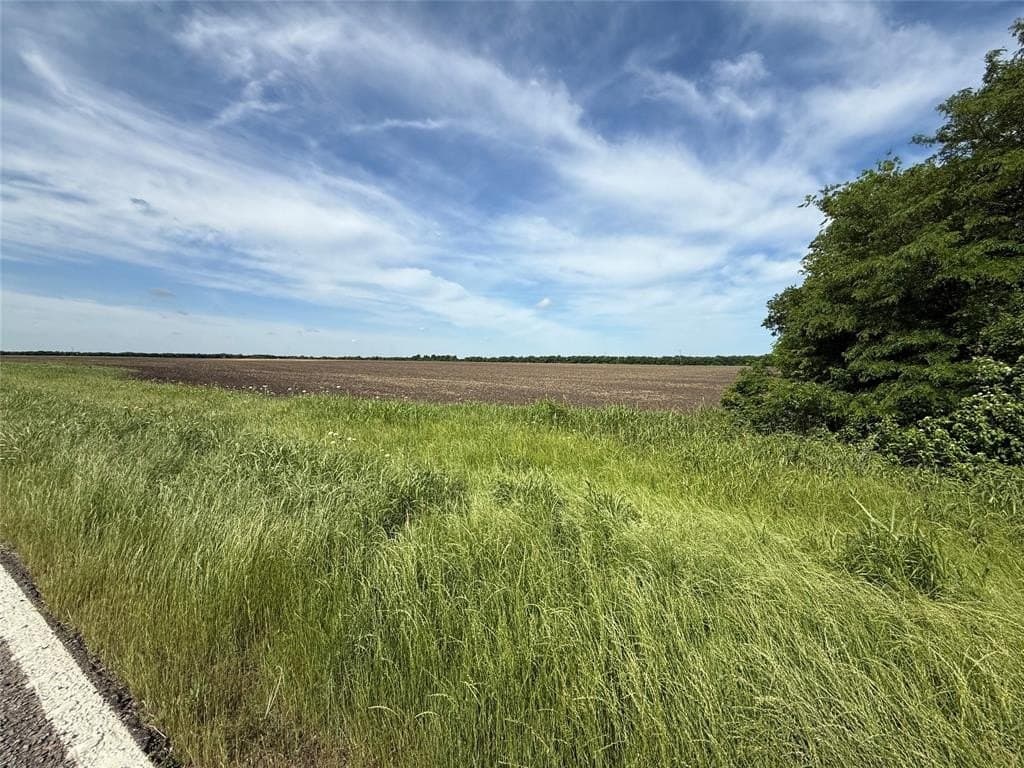 46.7 acres in Fannin County gallery image 2