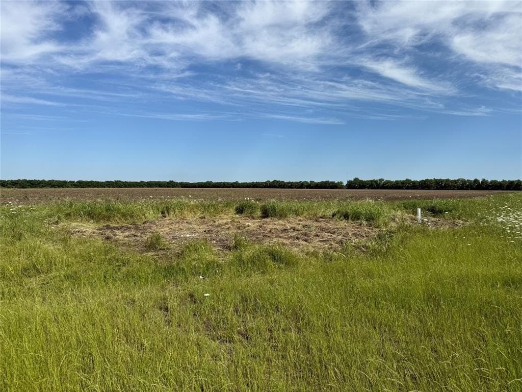 46.7 acres in Fannin County featured view