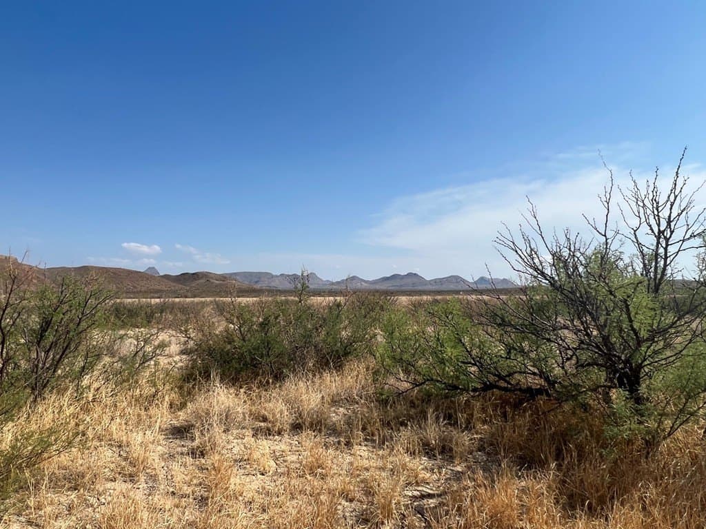 75 acres in Brewster County featured view