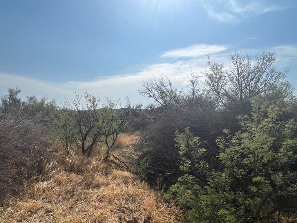 75 acres in Brewster County gallery image 4