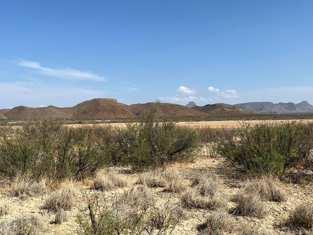 75 acres in Brewster County gallery image 2