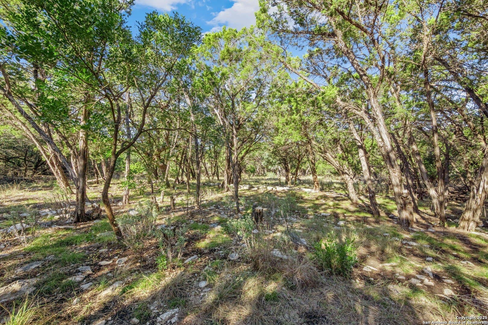 1.01 acres in Bexar County featured view