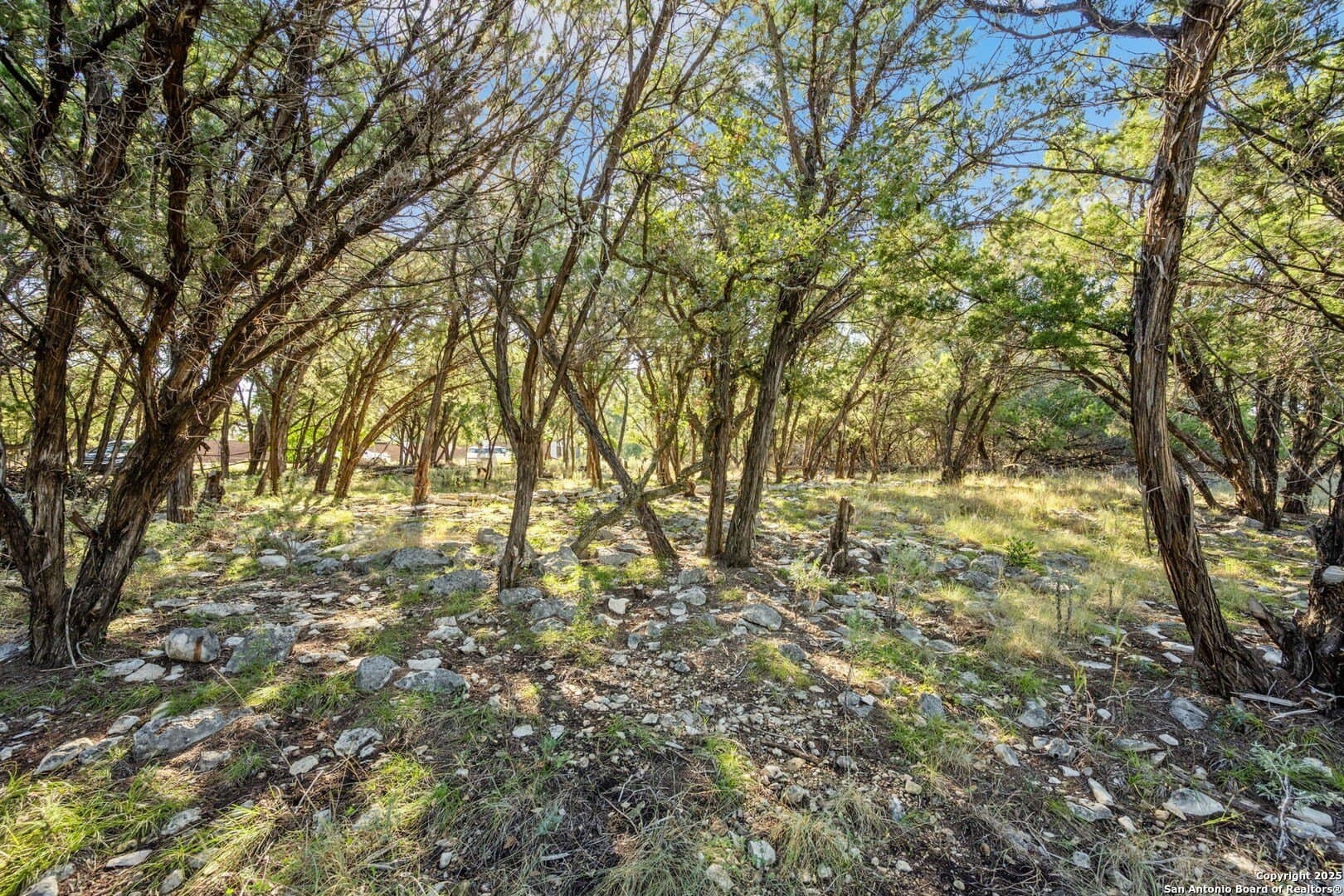 1.01 acres in Bexar County gallery image 2