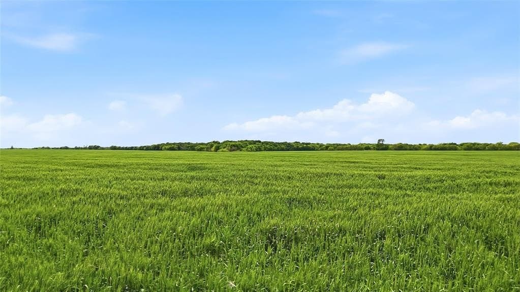 200.96 acres in Grayson County featured view