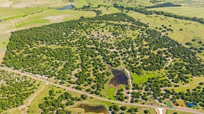29.37 acres in Burnet County gallery image 4