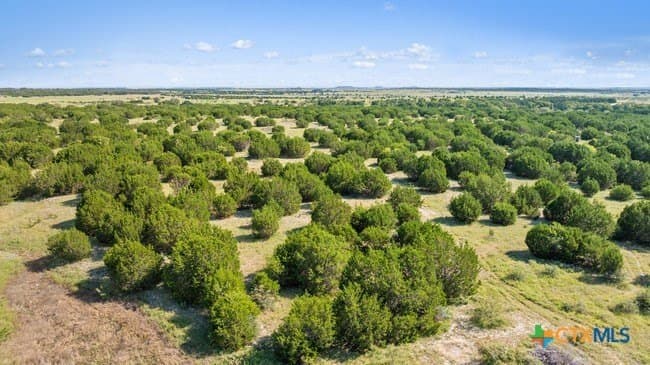 29.37 acres in Burnet County - photo 17