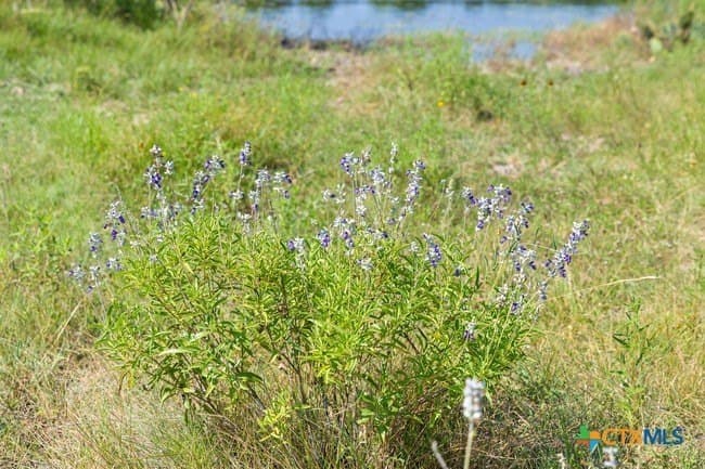 29.37 acres in Burnet County - photo 30