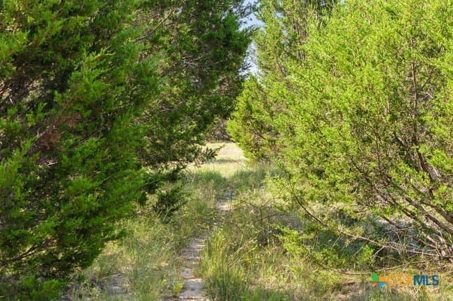 29.37 acres in Burnet County - photo 29