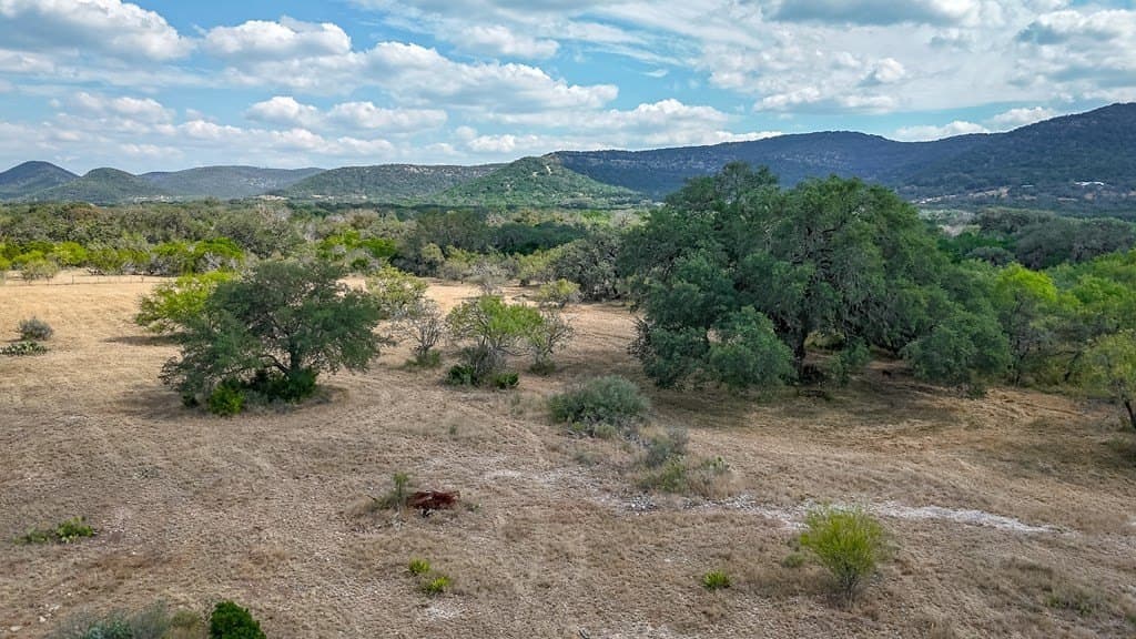 10.62 acres in Real County - photo 23