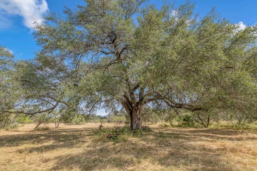 10.62 acres in Real County - photo 16