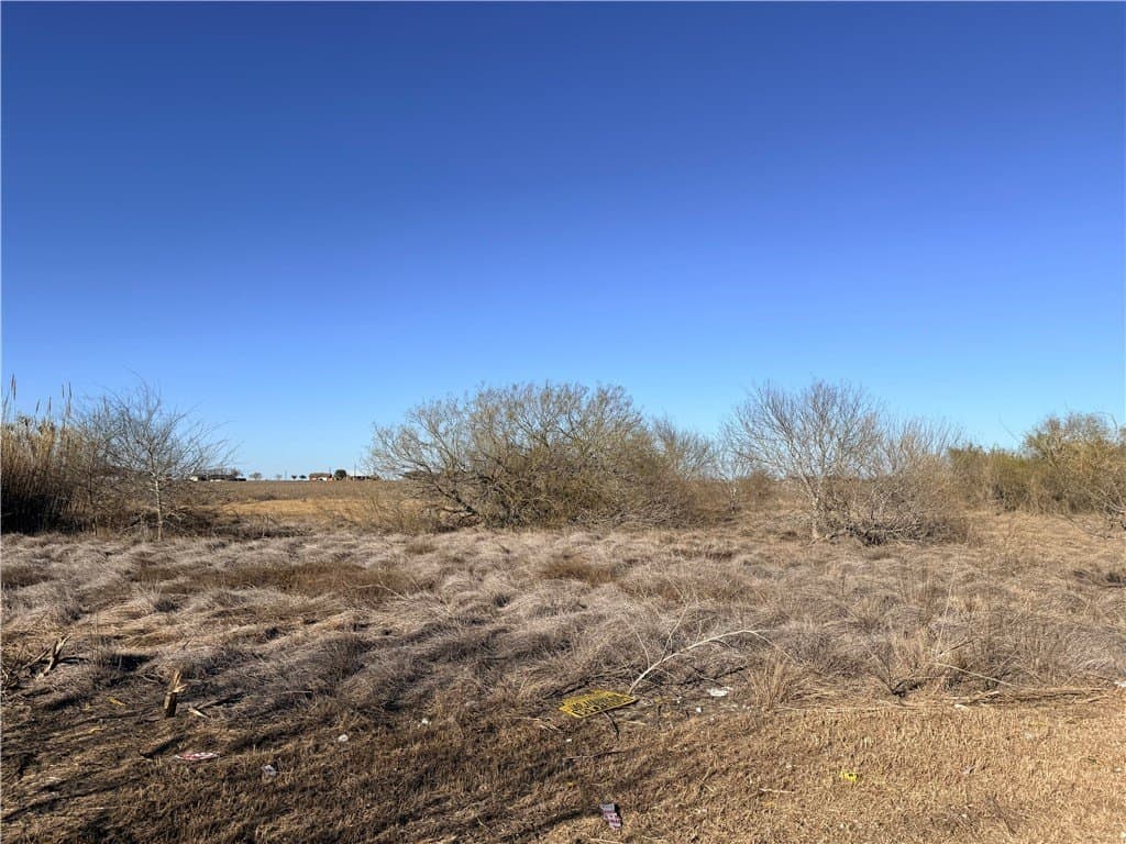 0.21 acres in Nueces County gallery image 3