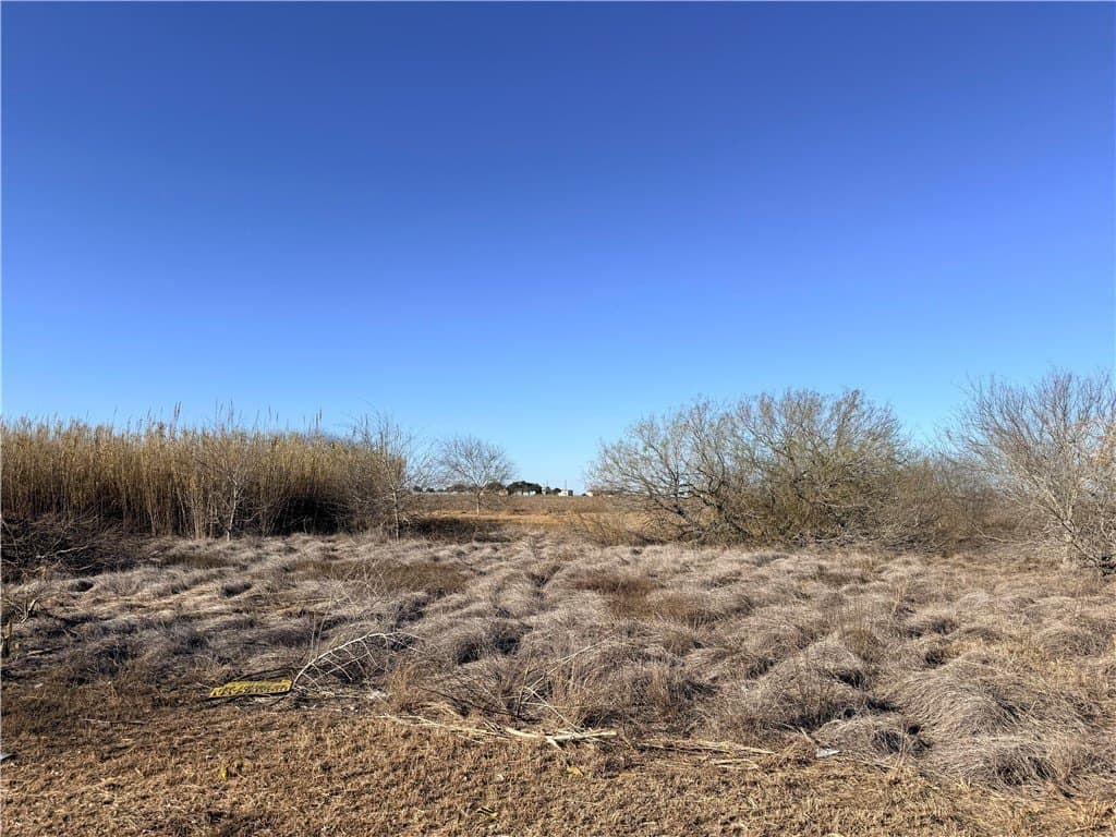 0.21 acres in Nueces County gallery image 2