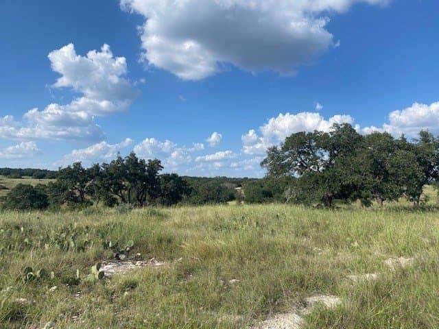 4.12 acres in Gillespie County gallery image 3