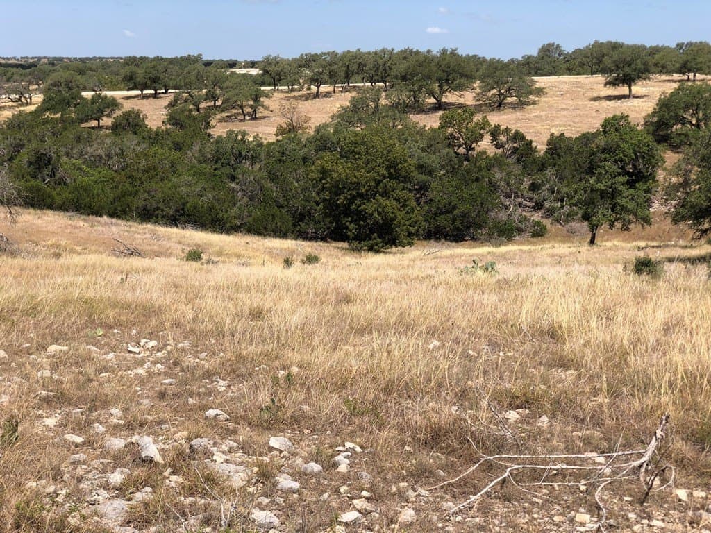 4.12 acres in Gillespie County - photo 8