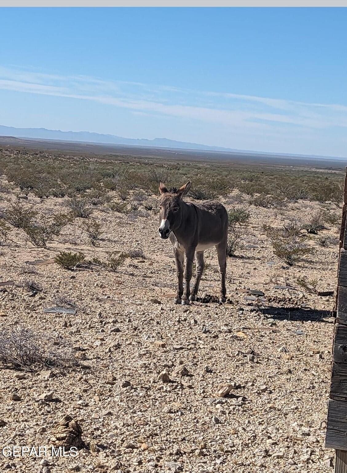 20 acres in Hudspeth County gallery image 2