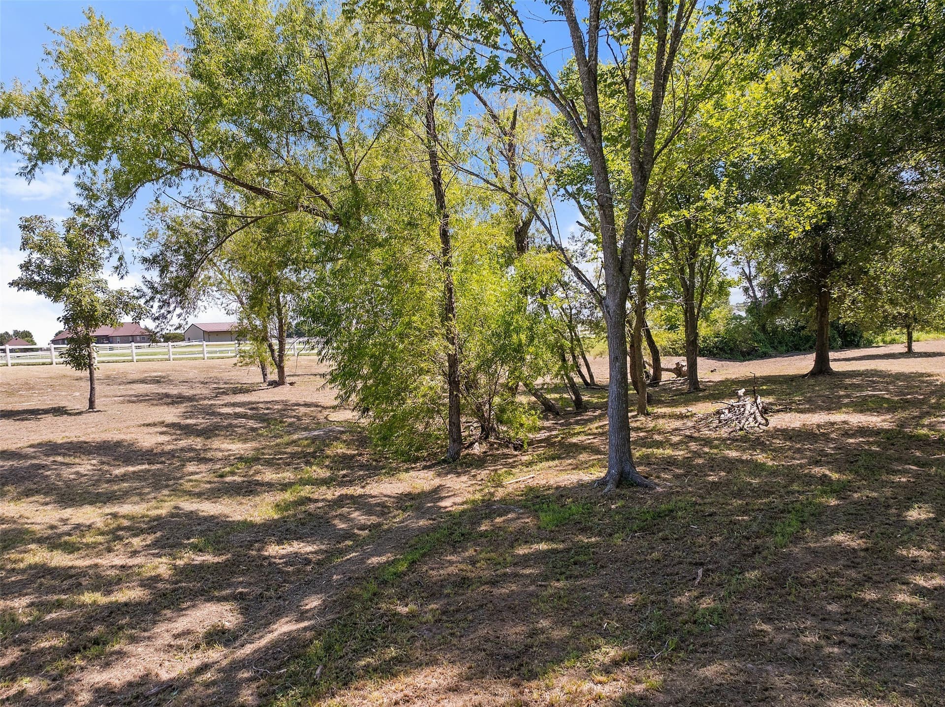 5 acres in Smith County - photo 23