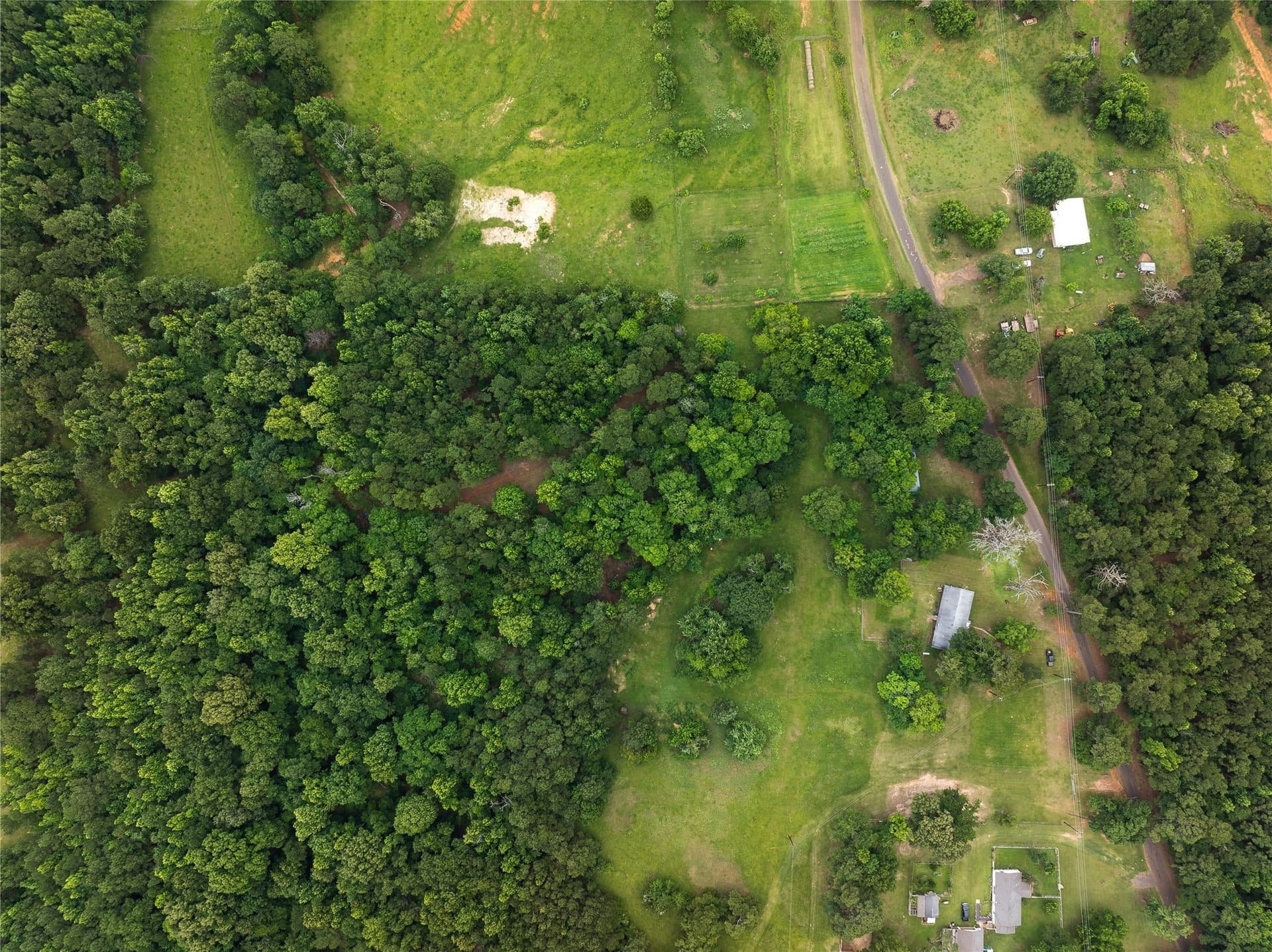 20 acres in Anderson County - photo 27