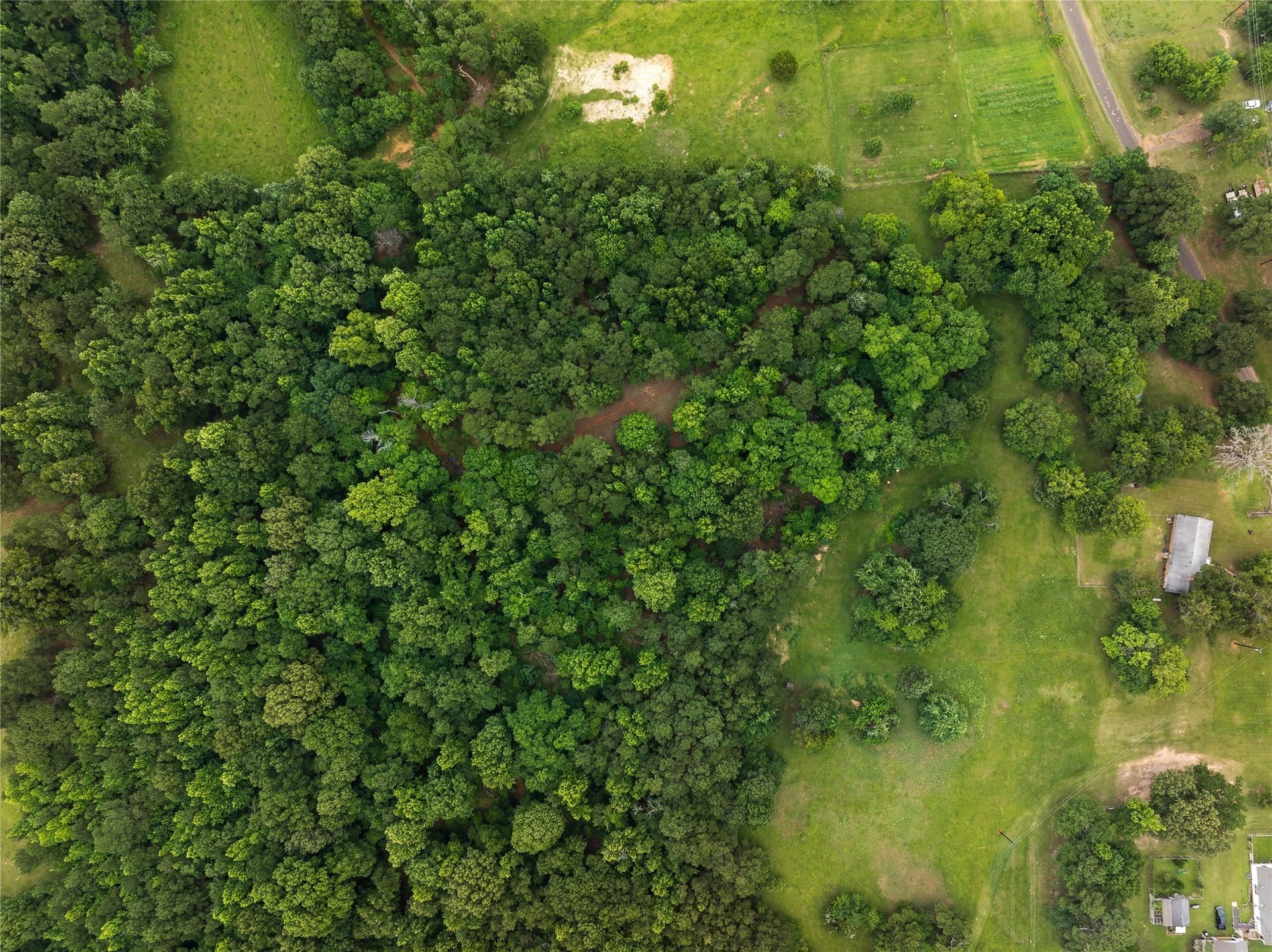 20 acres in Anderson County - photo 28