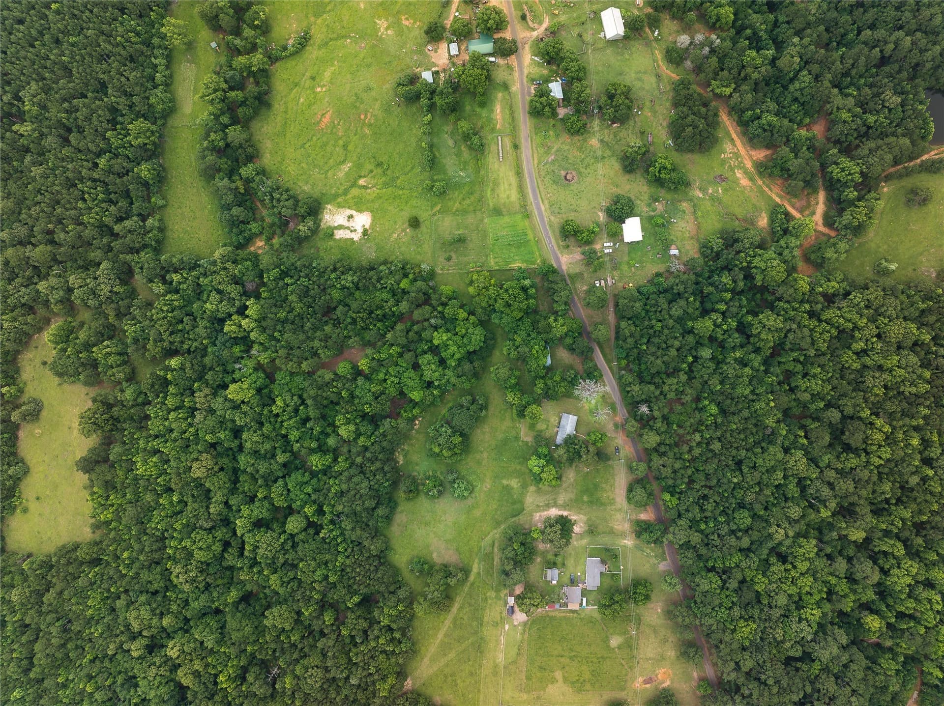 20 acres in Anderson County - photo 25