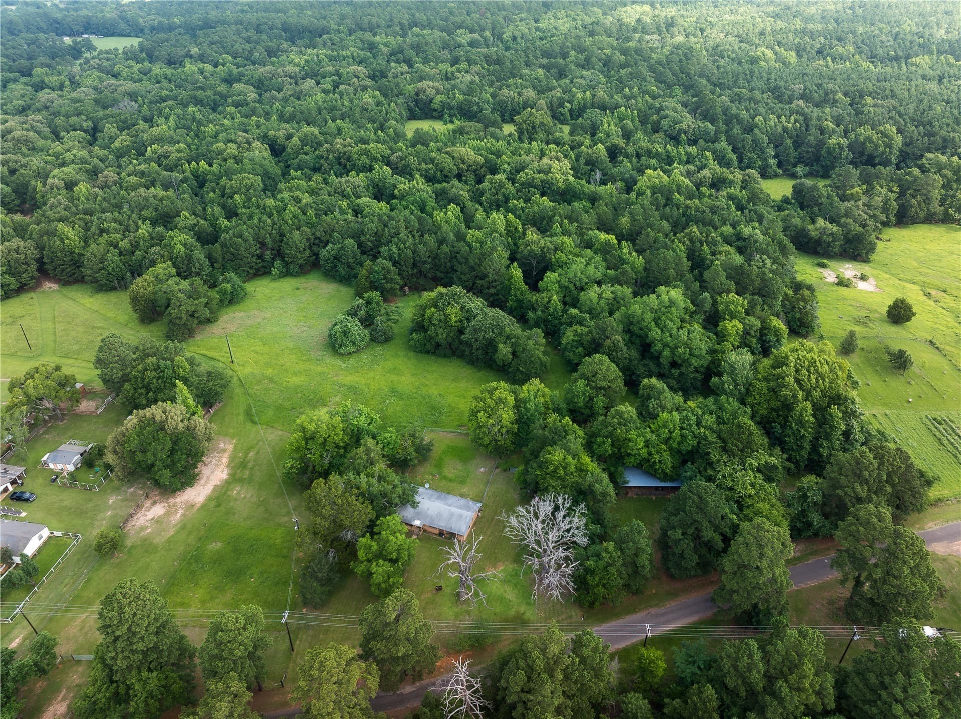 20 acres in Anderson County - photo 11