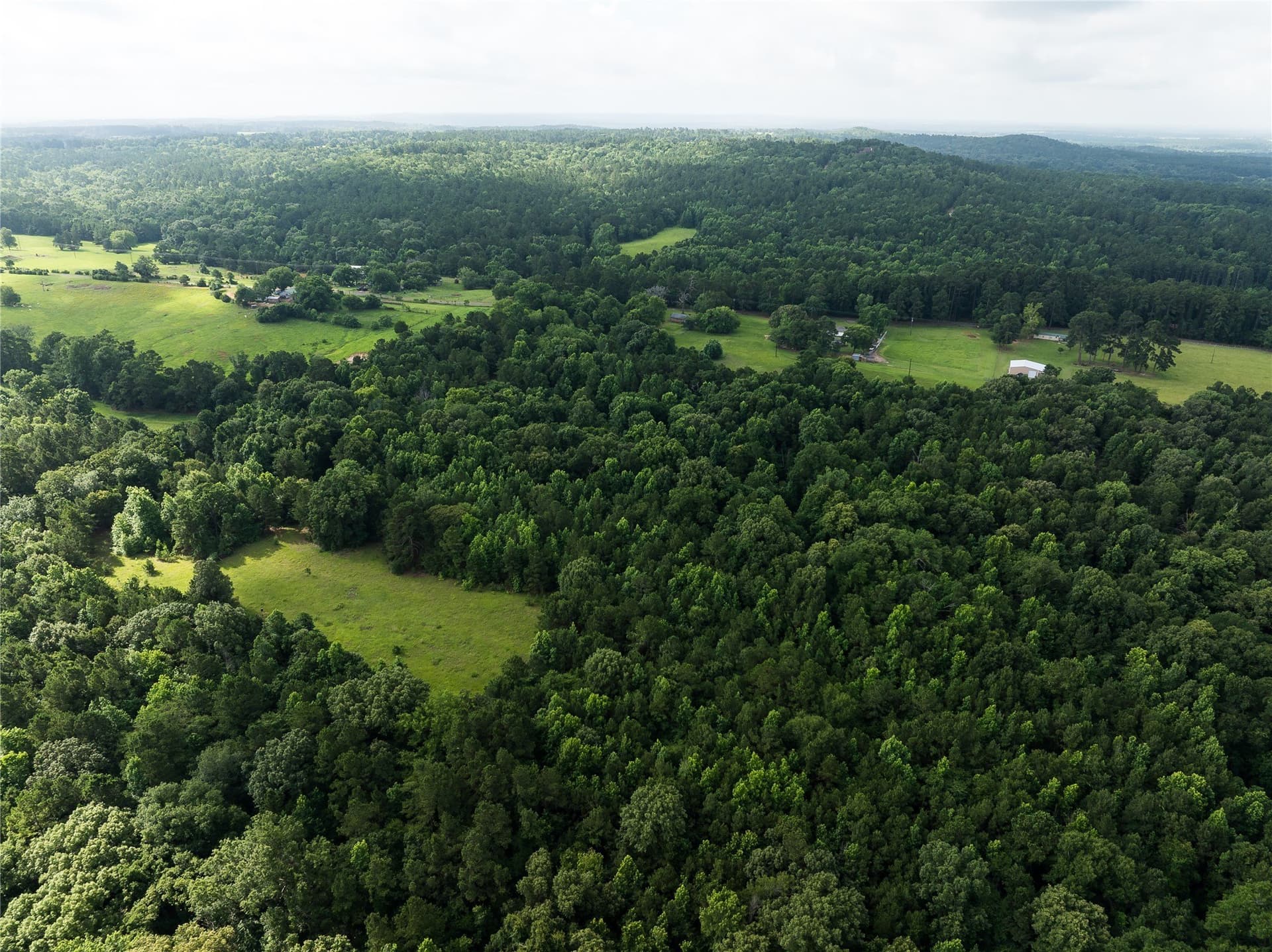 20 acres in Anderson County - photo 7