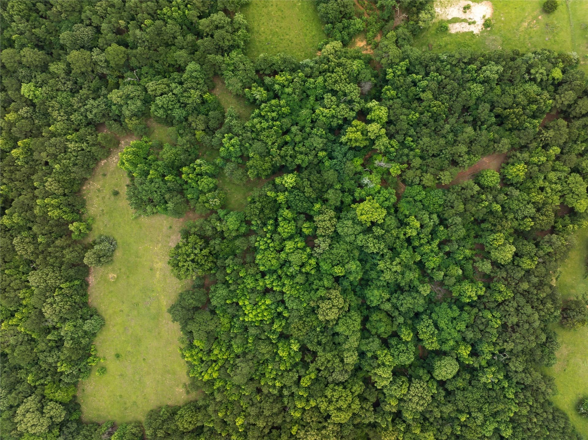20 acres in Anderson County - photo 30