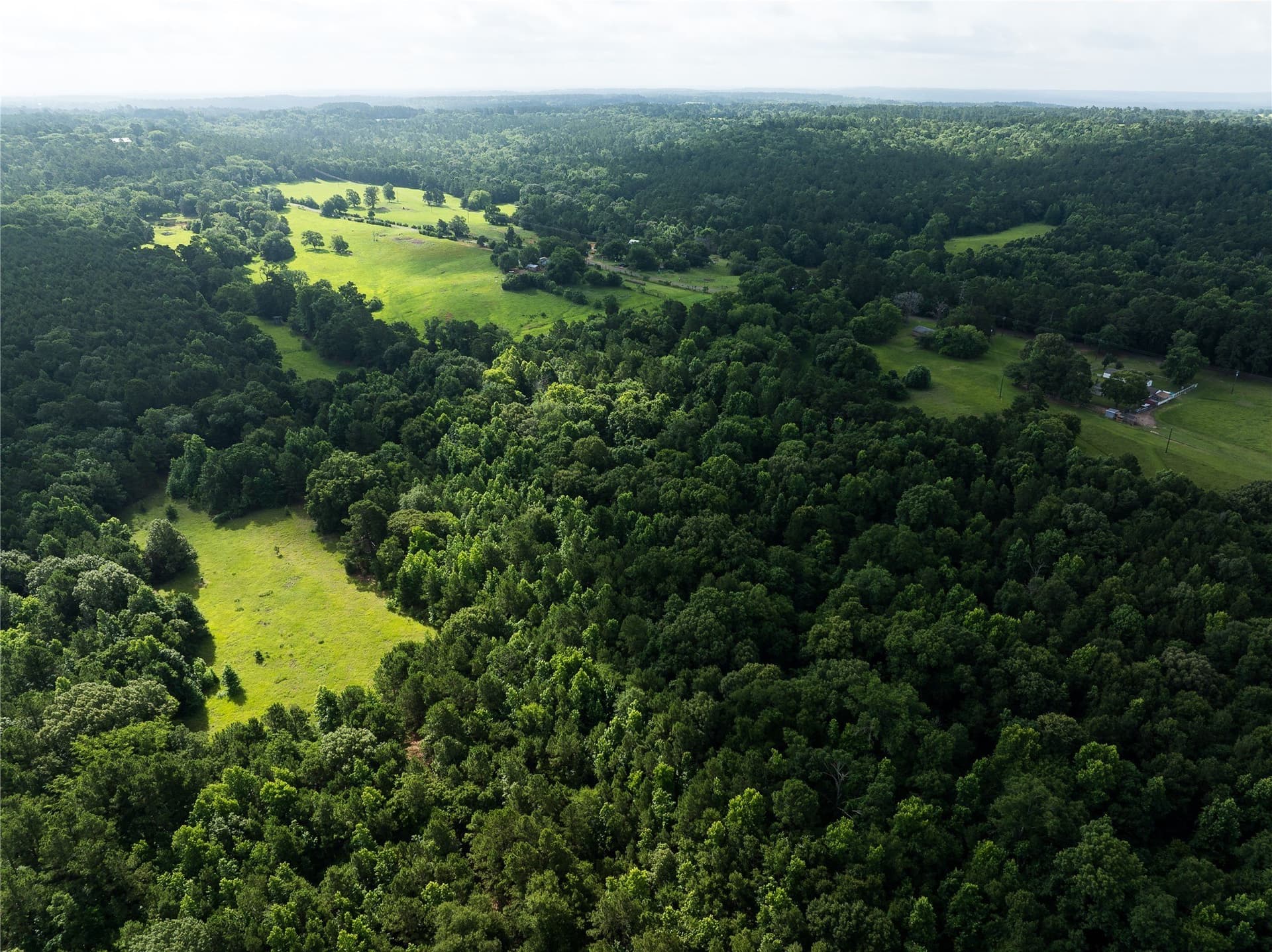 20 acres in Anderson County - photo 6