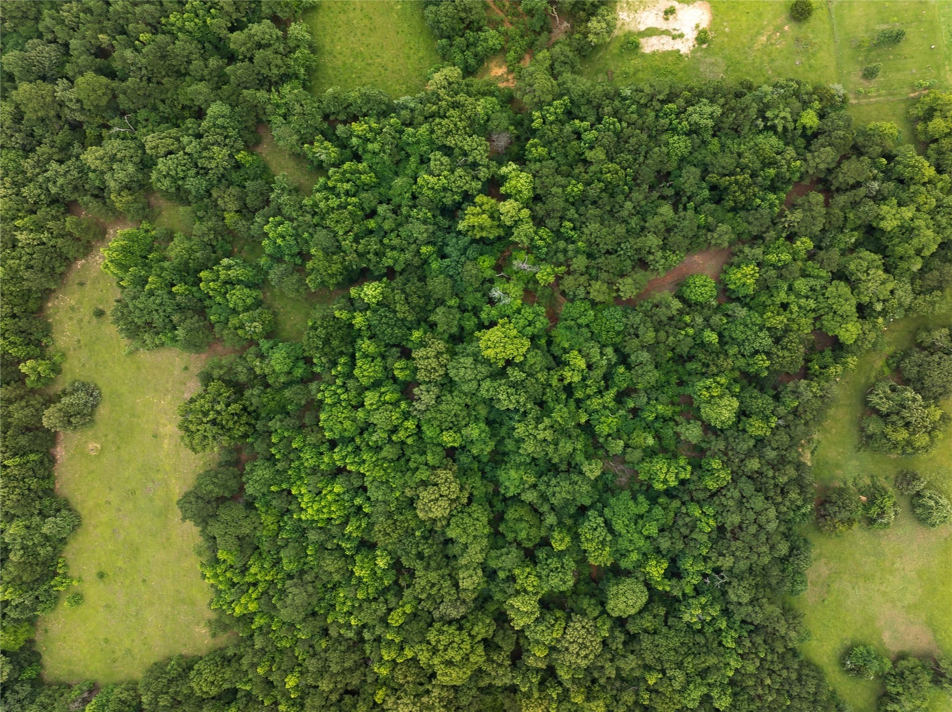 20 acres in Anderson County - photo 29