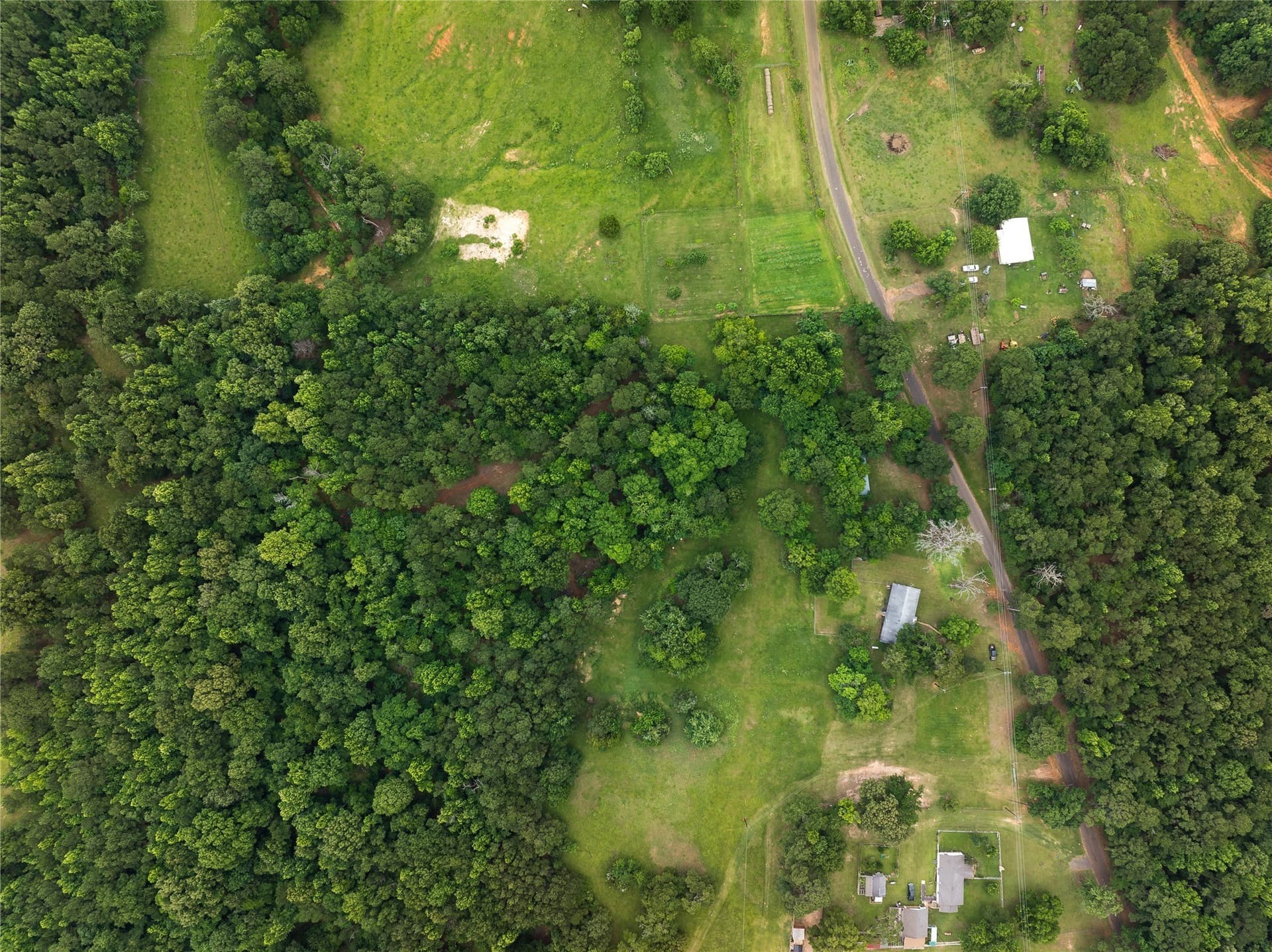 20 acres in Anderson County - photo 26