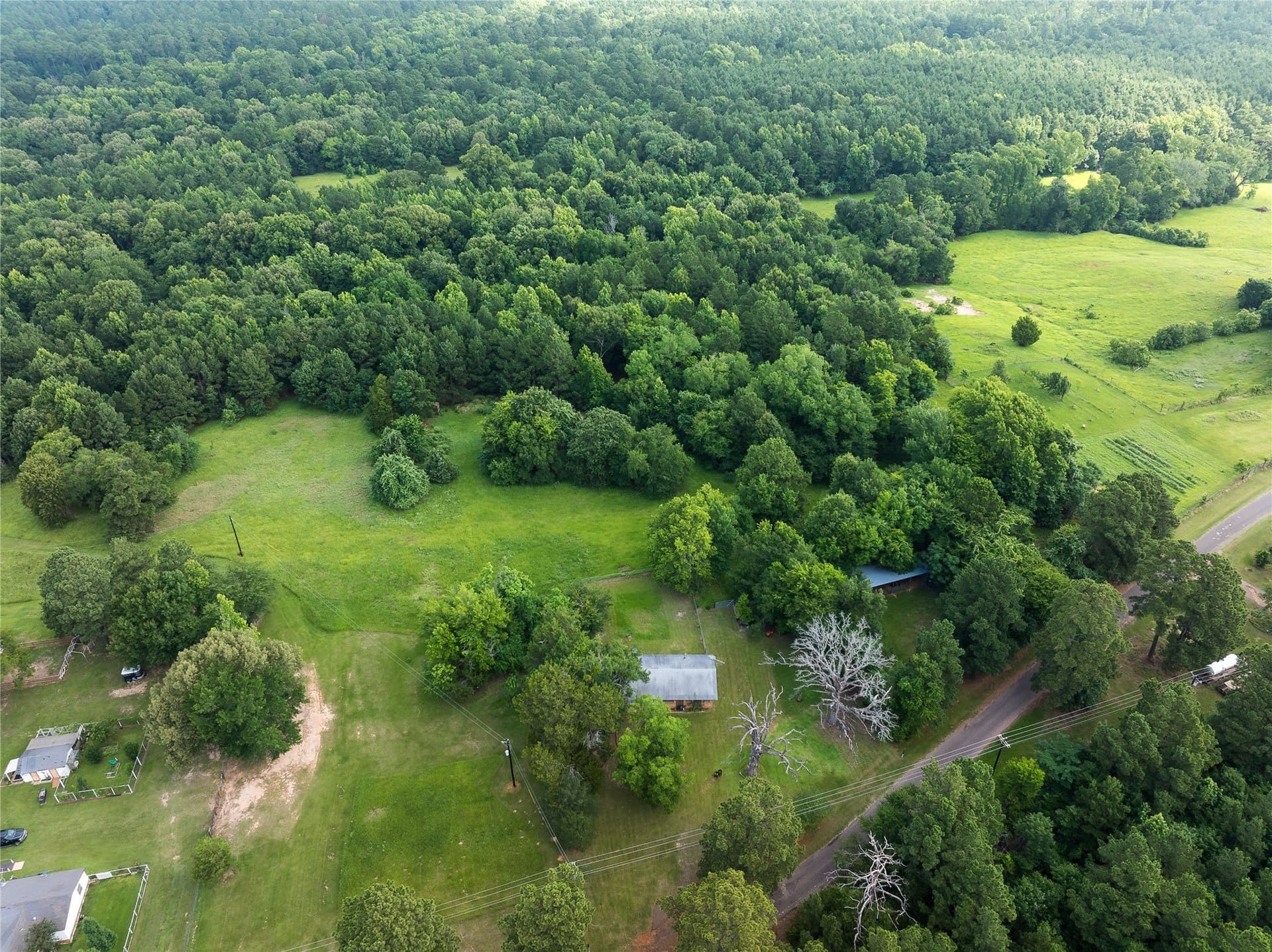 20 acres in Anderson County - photo 12