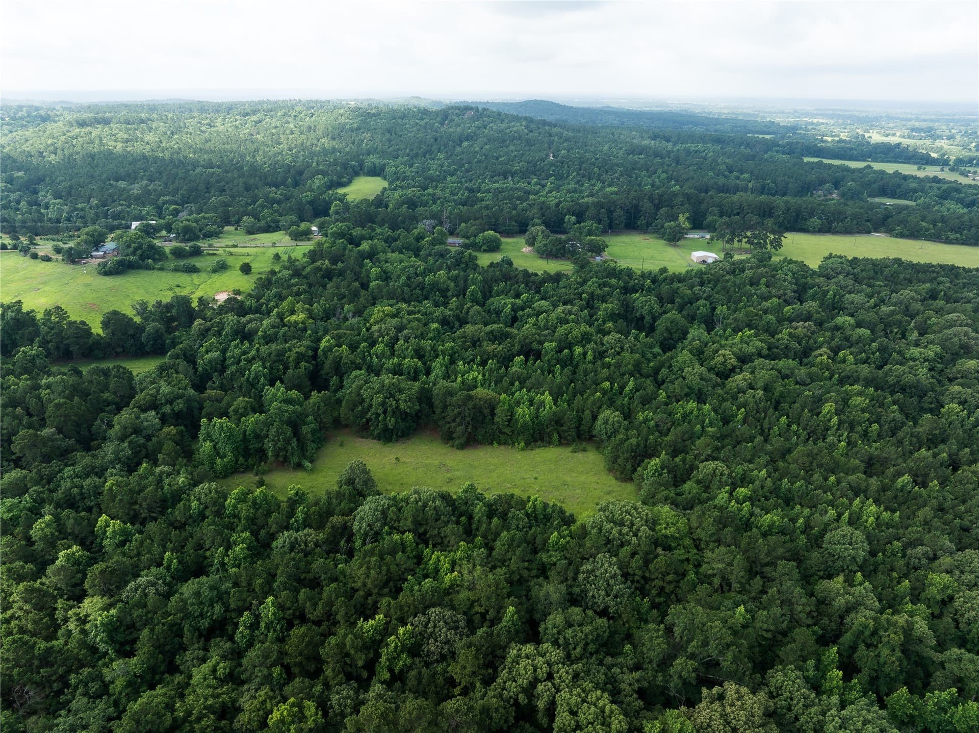 20 acres in Anderson County - photo 8