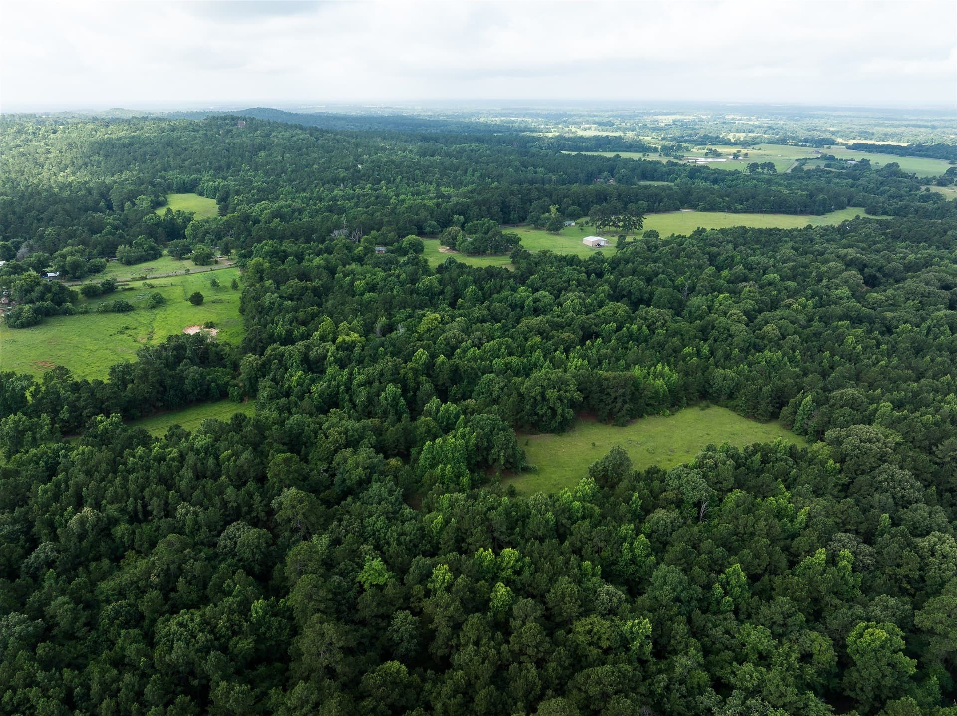 20 acres in Anderson County - photo 9