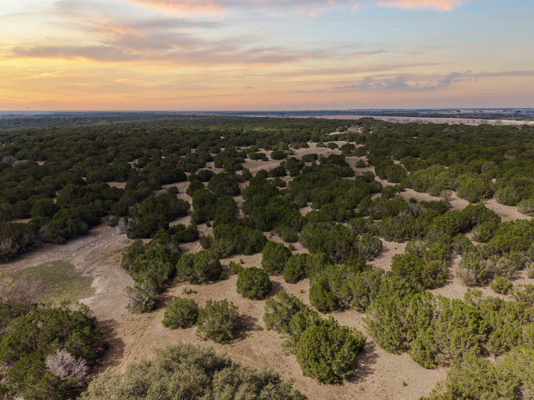 228.95 acres in Hamilton County gallery image 4