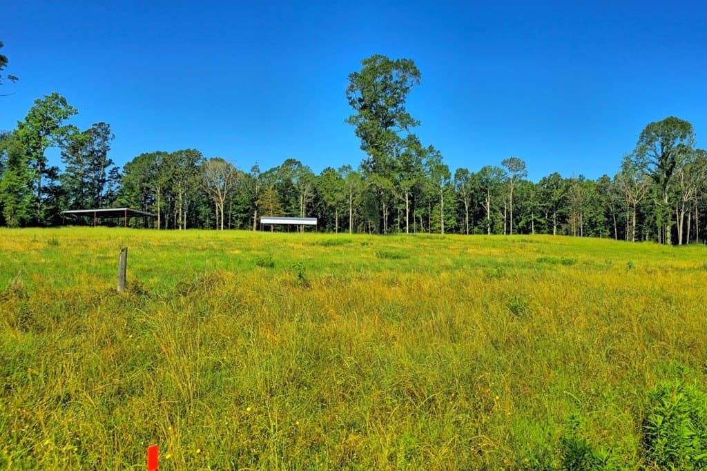 5.25 acres in Texas County gallery image 3