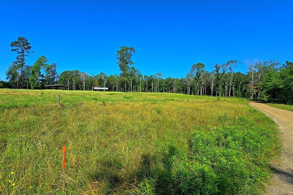 5.25 acres in Texas County gallery image 2