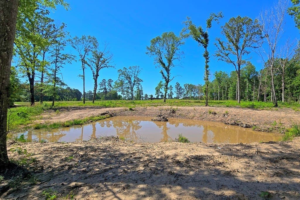 5.25 acres in Texas County gallery image 4