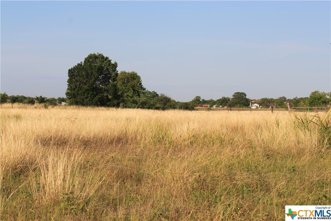 106.04 acres in Guadalupe County - photo 6
