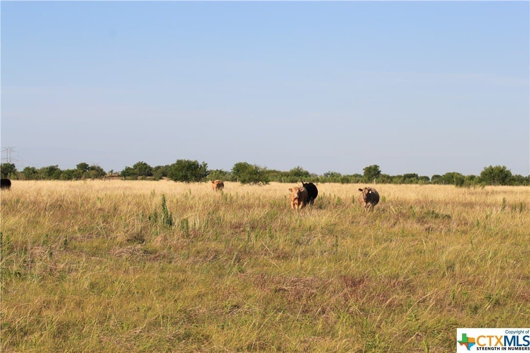 106.04 acres in Guadalupe County - photo 10