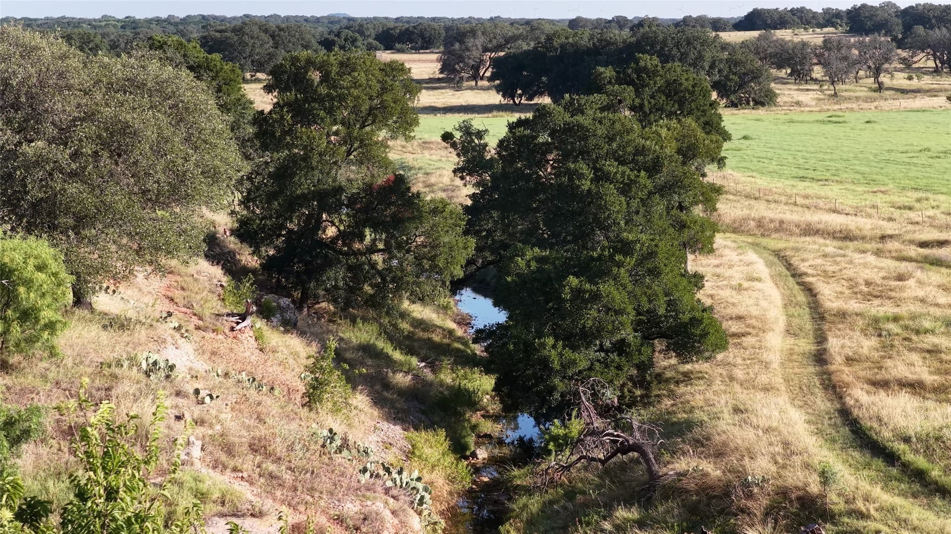 117 acres in Lampasas County gallery image 4