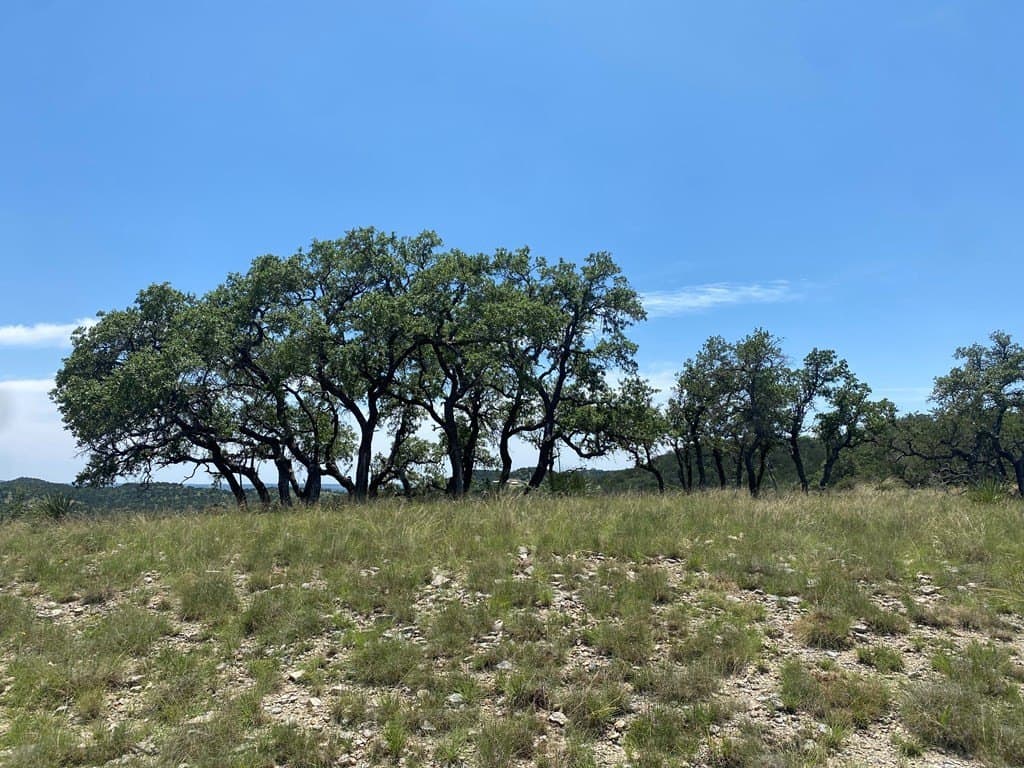 10.88 acres in Kendall County gallery image 4