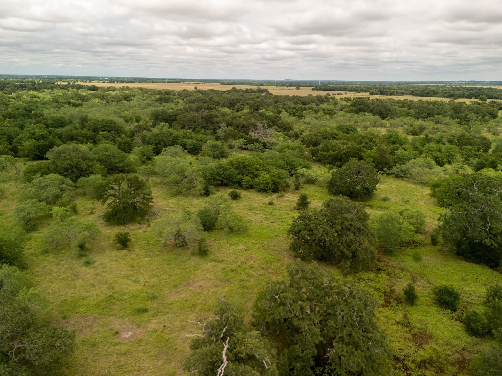 12.5 acres in Falls County - photo 11