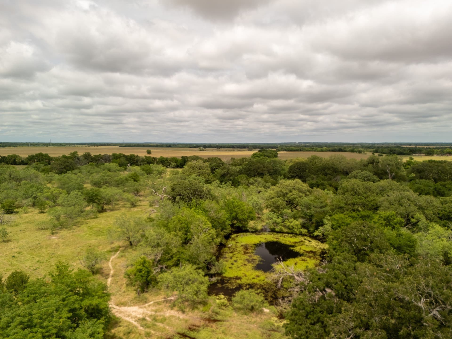 12.5 acres in Falls County - photo 3