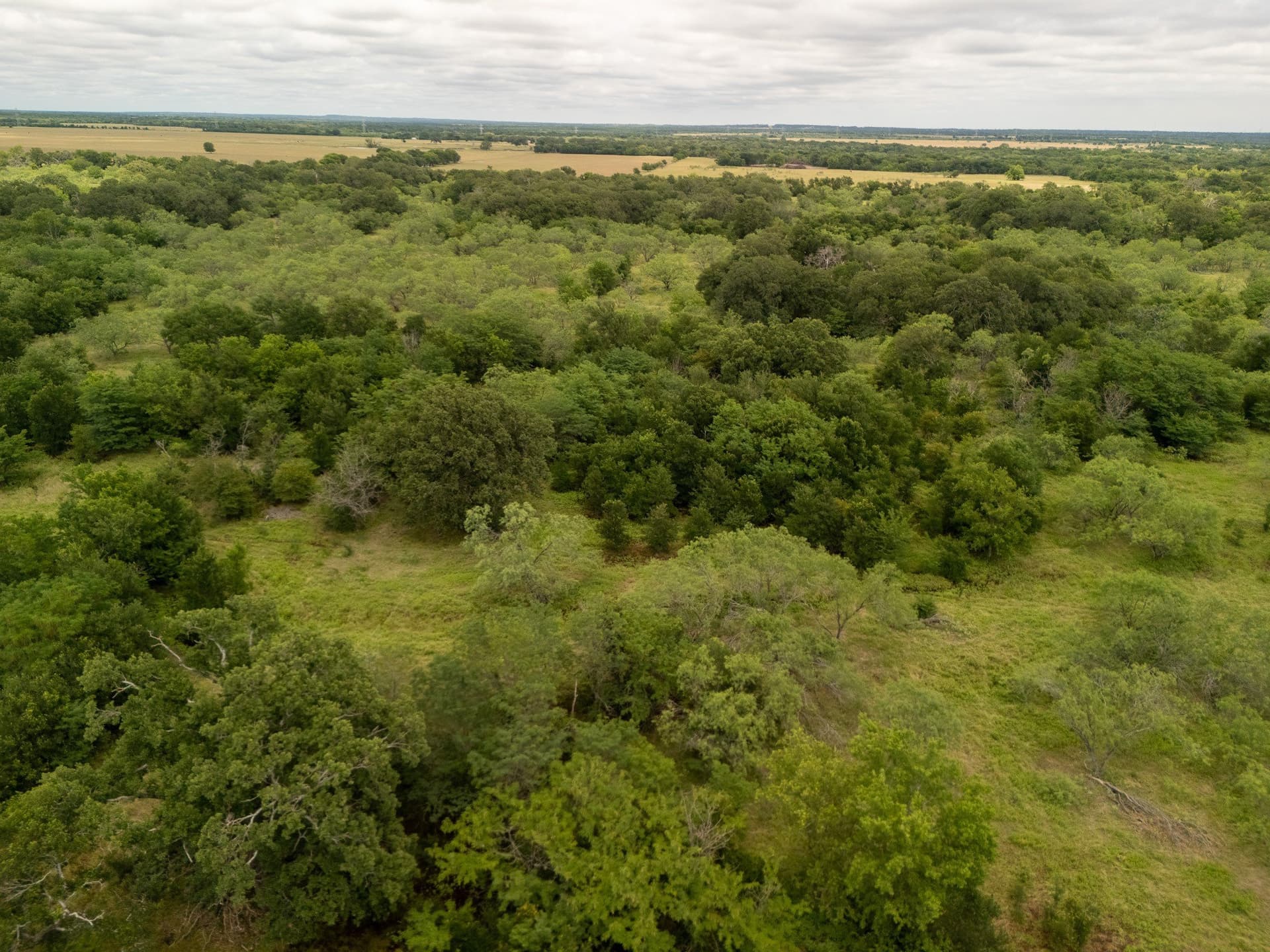12.5 acres in Falls County - photo 13